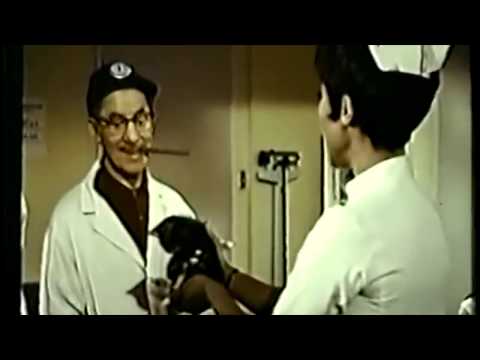 Groucho's Last Acting Appearance "Julia" (1968)