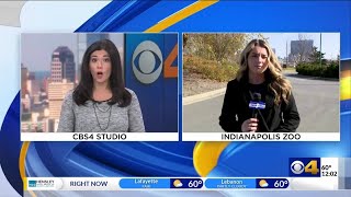 Plea Deal Made In Trial Of Man Accused Of Killing Indiana State Police Trooper During Pursuit