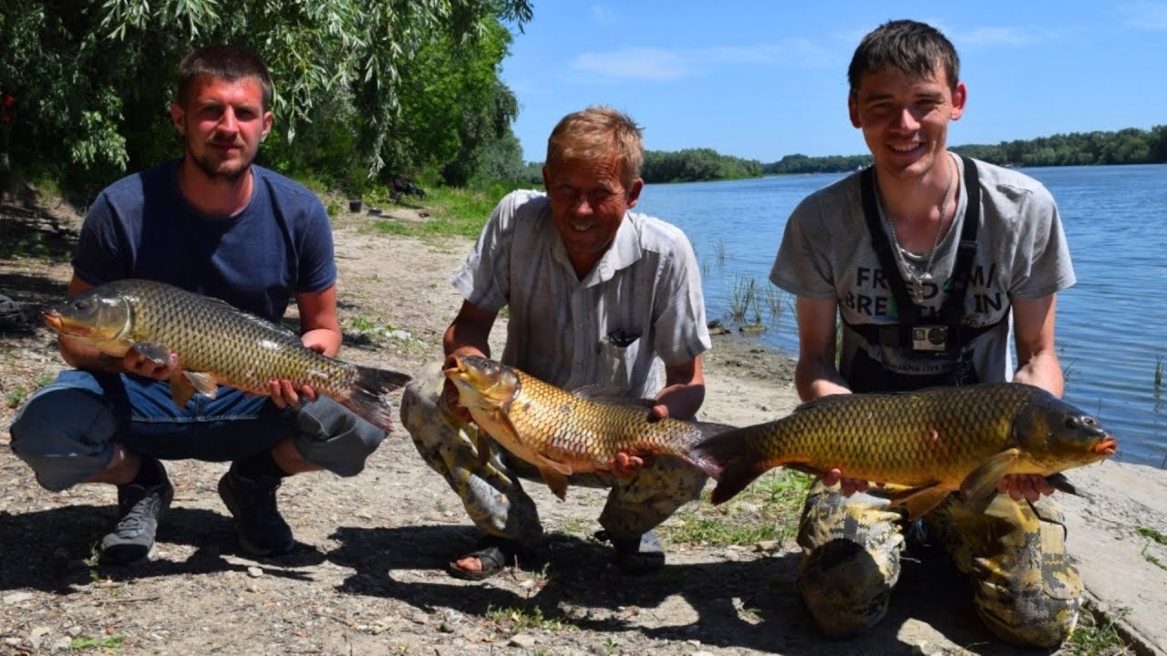 Рыбалка на реке Дон: ловля сазана, советы и рекомендации