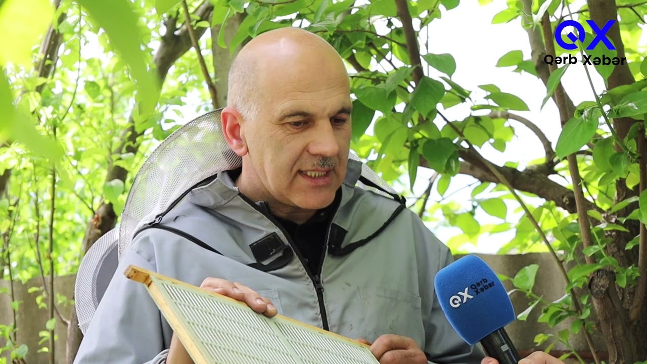 Arıçılıqda yeniliklər, faydalı məsləhət və tövsiyəllər Peşəkar arıçı Xəyal Qarayev