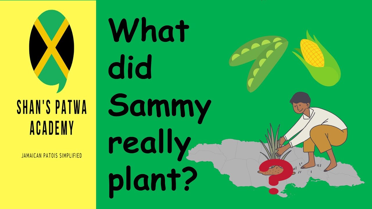 SAMMY DEAD! What did Sammy really plant? 'Peas and corn' or 'Piece a
