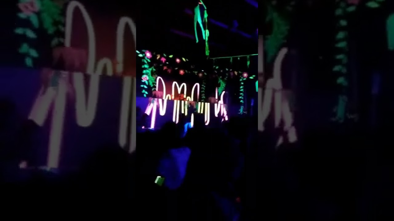 Tesouro Finamore yuki