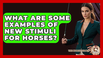What Are Some Examples Of New Stimuli For Horses? - The Horses Stable