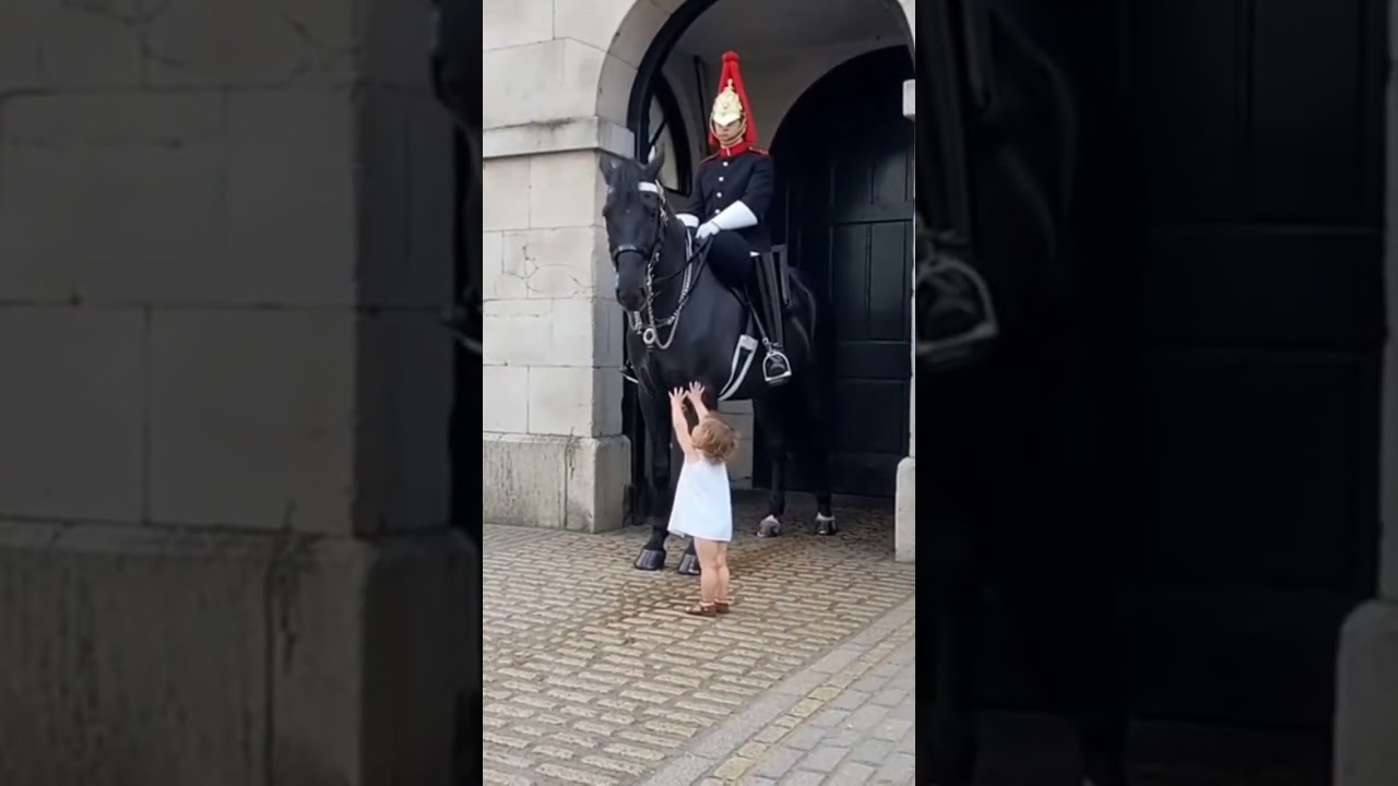 Pure Magic: Witness a Horse Kneeling for a Child's Warm Embrace 🥹 