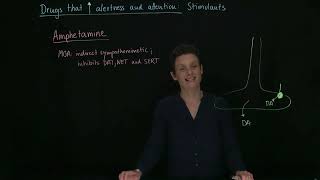Brandl's Basics: Pharmacology of drugs to treat ADHD