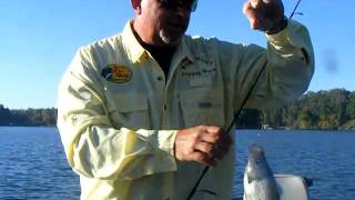 Let's Go Fishing! screenshot 2