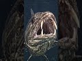 The Fangtooth Fish Has the Biggest Teeth of Any Ocean Creature