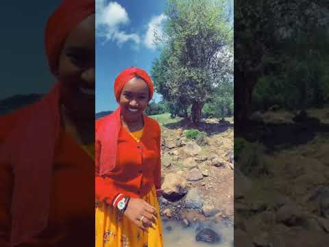 Oromo TikTok Oromo New Music Hachaalu Hundessa Music Meski Menge Galaanaa Garomsa Wal Agara Music 