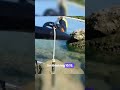 Spearfishing Madness #fishing #bodycam #police
