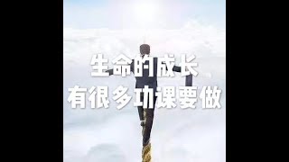201508 生命的成长有很多功课要做25235