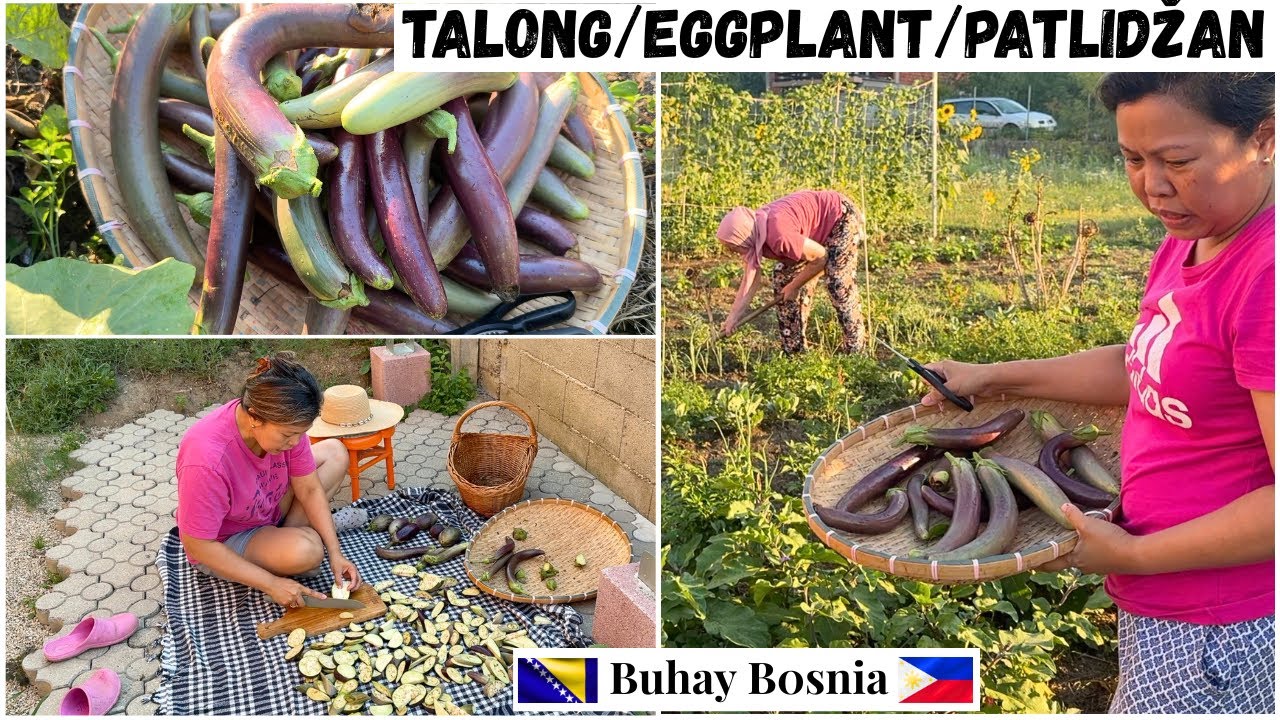 Консервирование баклажанов путем сушки | Консервирование баклажанов путем сушки