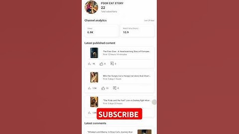 My Journey from 0 to 1000 Subscribers | YouTube Growth Tips for Beginners