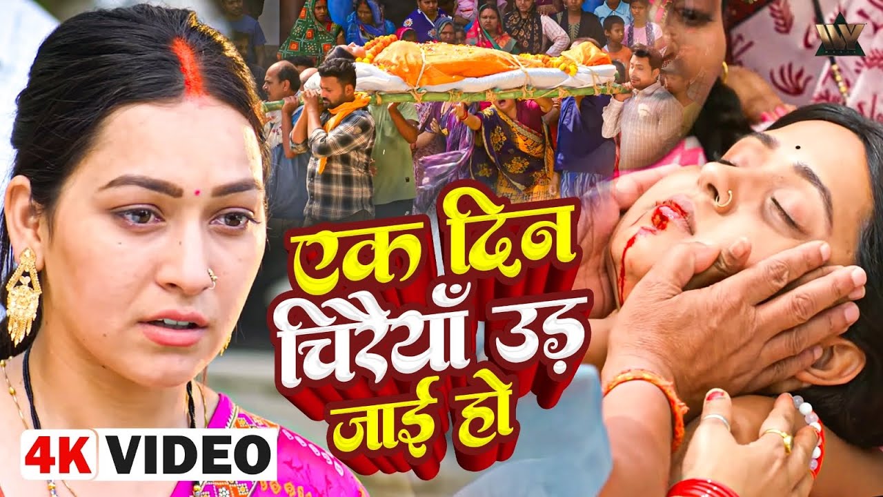 EK DIN CHIRAIYA UD JAAYI NU HO – दिल छू लेने वाला गीत 😭 | VIDEO