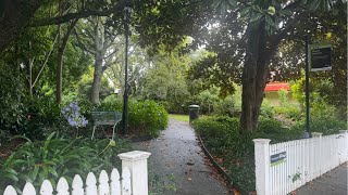 Monday 29 December 🇳🇿Countdown the last days of 2025.  Live from New Zealand