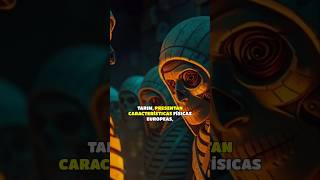 Download Lagu Las momias de Tarim #history #stories #illustratedhistory  #história #historias #historiailustrada MP3