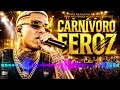 CARNÍVORO FEROZ LANÇAMENTO 2026 (NOVA VERSÃO) 🔥 Funk Consciente | Música de Funk Braba 🎧🩸