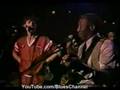 Muyddy Waters and Rolling Stones - Baby Please Don't Go