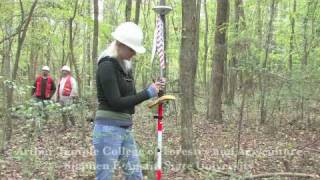 Wetland Delineation