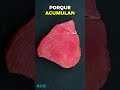 🐟 ¿Es posible REDUCIR la INFLAMACIÓN CEREBRAL con la dieta? 🧠 📉 - Elisa Blázquez