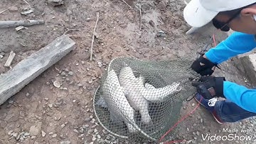 Câu Cá Vược (cá chẽm) Tập 15 phần 2 lên cá .kết thúc và đi về