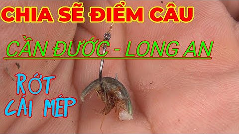 CHIA SẼ ĐIỂM CÂU RÔ ĐỒNG, RÔ PHI TẠI TÂN LÂN CẦN ĐƯỚC LONG AN