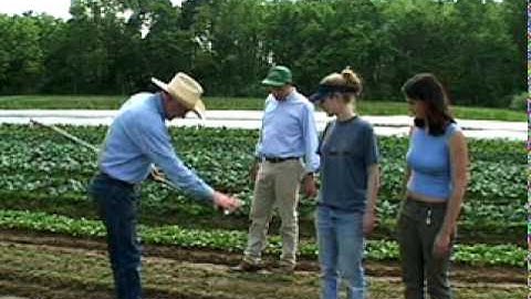 Career: Soil Scientist