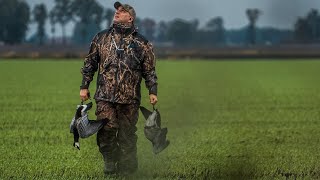 Barnacle Geese in Sweden | S3E4 | The Last Pass By Final Approach