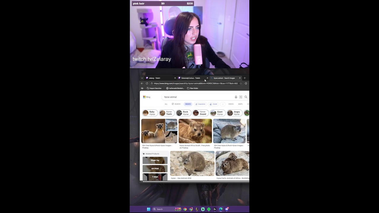 TOURNEY GAMEDAY!! COME CHEER US ON!! TEAM ZELARAY AKA HYRAX 💜🌸