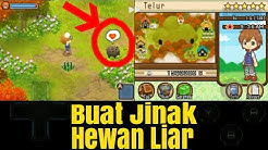 Jinakin Hewan Liar Di Hutan - Harvest Moon The Tale Of Two Towns Indonesia - Durasi: 2.38. 