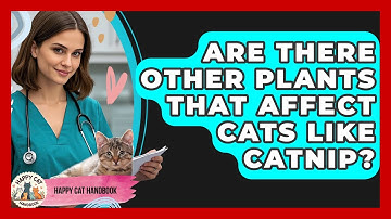 Are There Other Plants That Affect Cats Like Catnip? - Happy Cat Handbook