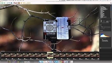 LensAlign/FocusTune Common Shooting Mistakes