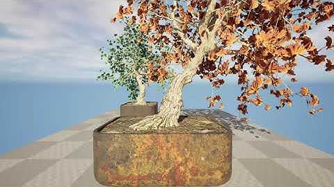 Fall and green Bonny Bonsai Tree 3d animation with unreal engine and 3d files