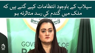 Wheat reserves are abundant this year - Marriyum Aurangzeb press conference | Aaj News