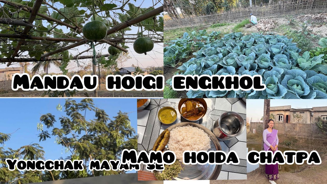 MAMO HOIDASU CHATLURE(mama gi mapam)/MANDOU HOIGI ENGKHOL SE FAJADRA😊😊#viral #cachar 