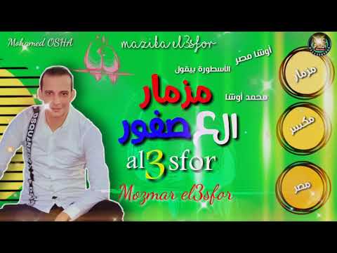 جديد 2020 مزمار العصفوره اللي مكسر مصر بغيارات جديده لاول مره وطلعات مفتريه من القشاش محمد اوشا٢٠٢٠