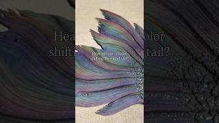 Famous Holographic Mermaid tail 🌈 #finfolkproductions #mermaid #art Profile