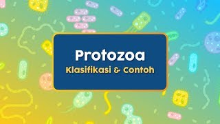 Klasifikasi Protozoa Berdasarkan Alat Geraknya #BelajarDiRumah
