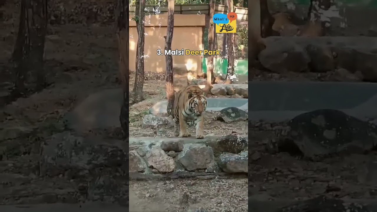 Top Five Tourists Place In Dehradun| From mystical caves to majestic architecture.