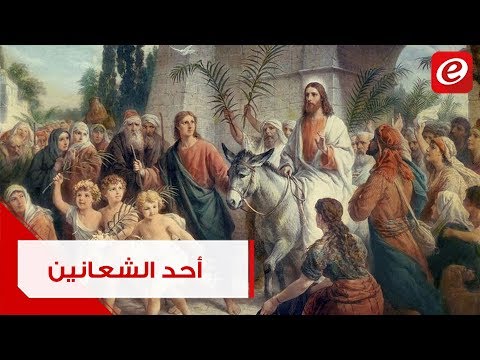 فيديو: ما يمكنك وما لا يمكنك فعله في أحد الشعانين