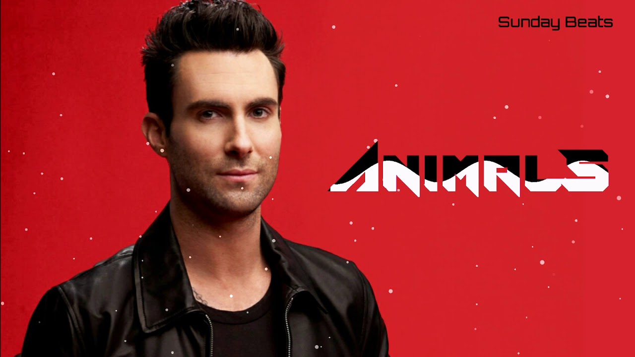 Maroon 5 Animals 👇Desc. for more Ringtones Sunday Beats YouTube