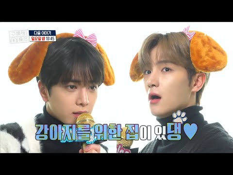 홈즈 <strong>예고</strong>] ＜댕댕 정보통 in 서울&amp;amp;남양주&amp;amp;<strong>하남</strong>＞ 192회, MBC 230226 방송