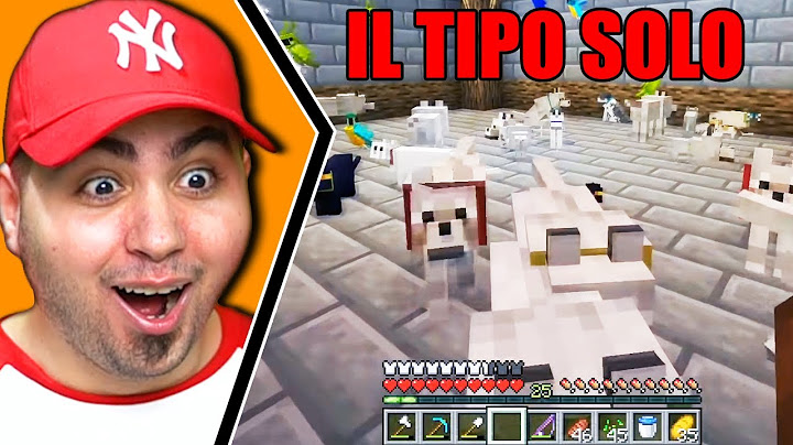 5 TIPI DI PERSONE CHE HAI INCONTRATO SU MINECRAFT!!