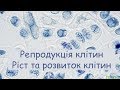 Репродукція, ріст та розвиток клітин. Мітоз і мейоз