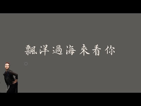 娃娃 金智娟  【飄洋過海來看你】 歌詞 （ 至簡美詞版 ）