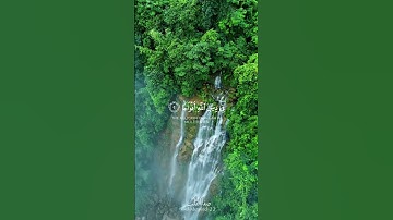 تلاوات خاشعة | سورة النصر | بصوت علي جابر