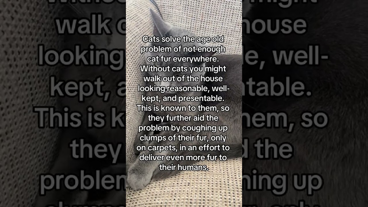 Luna is no exception 😂 