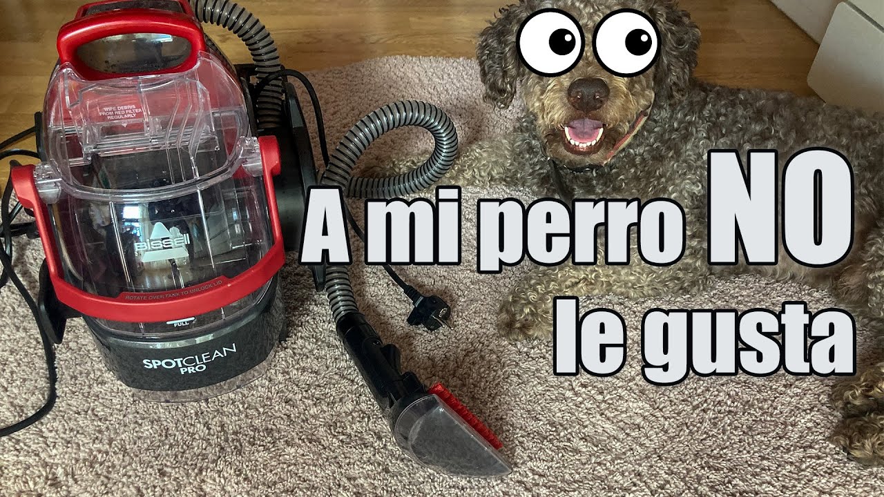 Primer uso de la Bissell Spotclean PRO - Aspiradora de líquidos