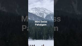 Mini Swiss Pahalgam sanjeevanitravelsshimla shortsfeed swiss pahalgam