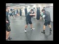 井上尚弥　4団体統一へ！　　　　　　　MONSTER ＮＡＯＹＡ ＩＮＯＵＥ
