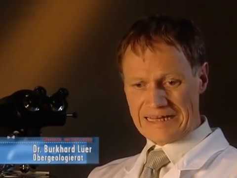 Medical Detectives Stream Deutsch Medical Detectives Stream Deutsch